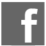 iconFace